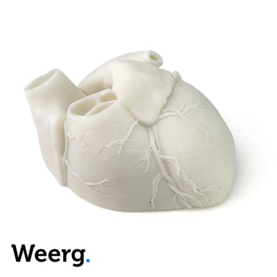 Corazón impreso en 3D